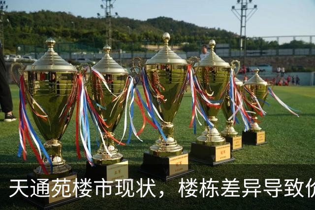 天通苑楼市现状，楼栋差异导致价格不均